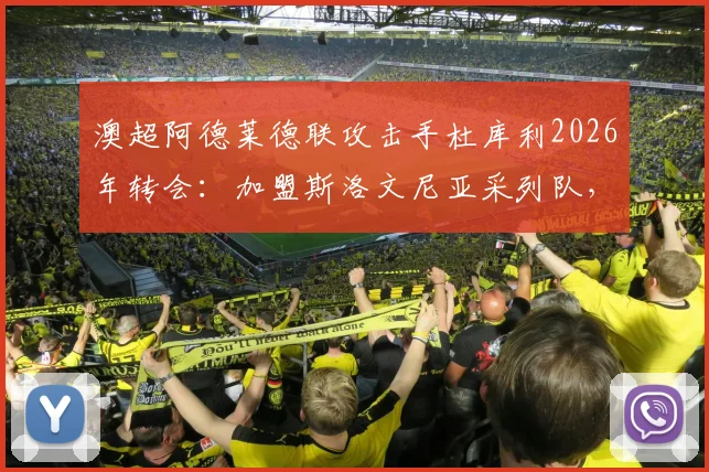 澳超阿德莱德联攻击手杜库利2026年转会:加盟斯洛文尼亚采列队,其技术特点与未来前景分析